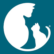Find a Cat Shelter Near You | Support Animal Shelters and Rescues